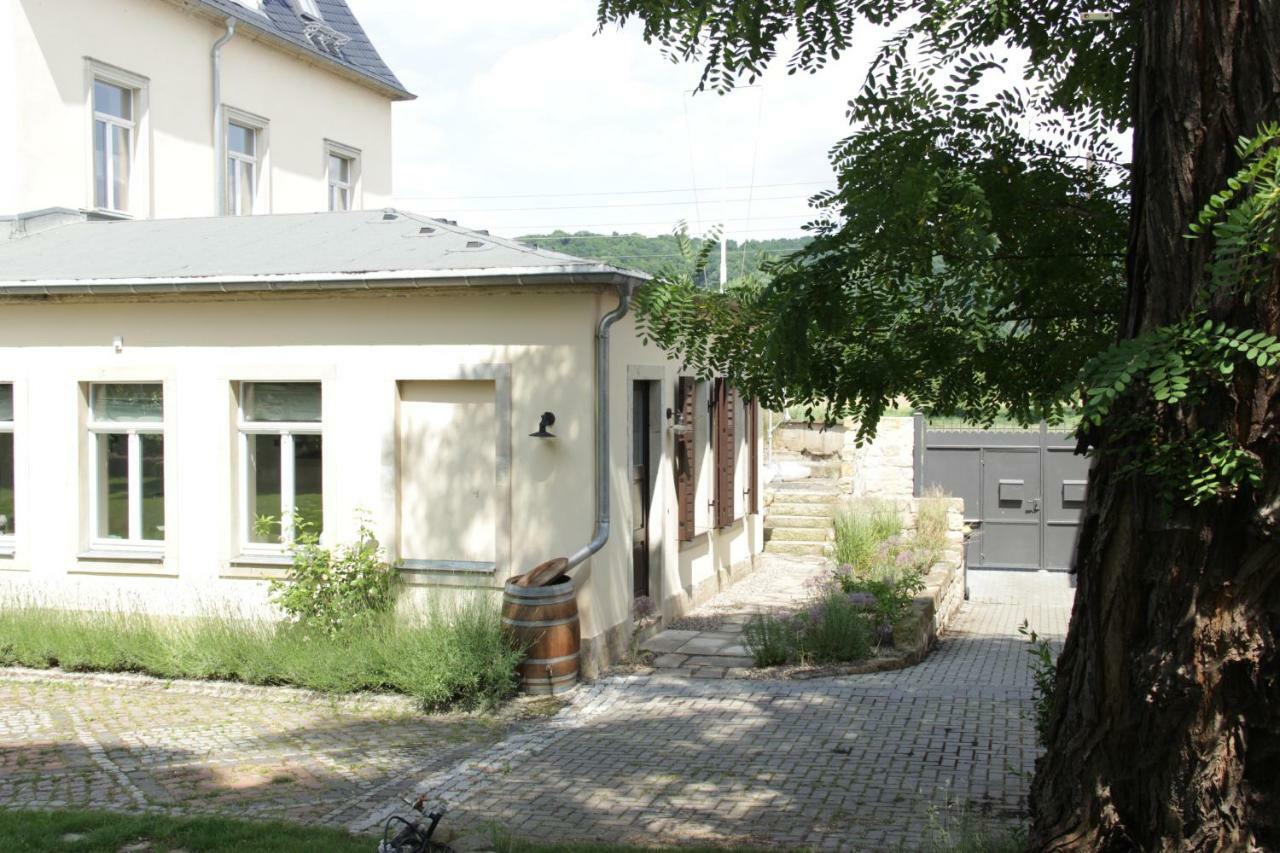 Ferienwohnung An Der Elbe Dresden Exteriör bild
